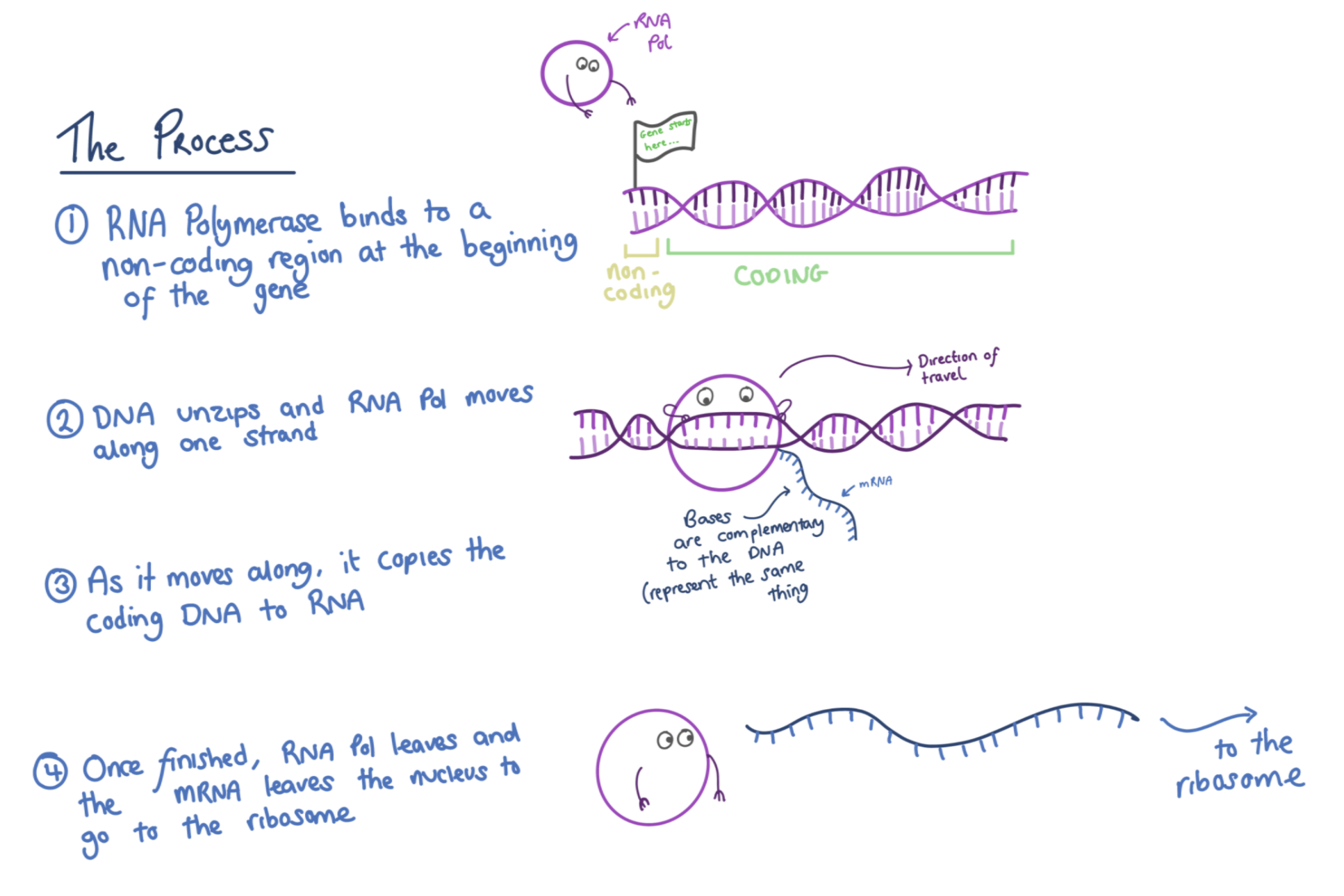 A screenshot of some work.